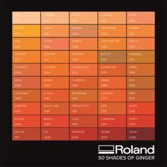 50 Shades of Ginger - Roland DG with Fight or Flight
