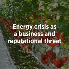 Energy crisis as a business and reputational threat - Finnish Glasshouse Growers' Association with SEK