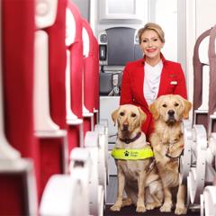 High Flying Hounds - Virgin Atlantic and Guide Dogs with Tin Man