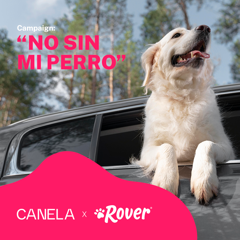 No sin mi perro - Rover with Canela