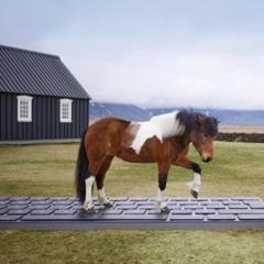 Outhorse Your Email - Visit Iceland with M&C Saatchi Talk