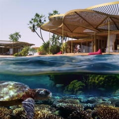 Taking Centre Stage in Regenerative Tourism - Red Sea Global with BCW