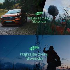 The Most Beautiful Sounds of Slovakia - Skoda Auto Slovensko with Wiktor Leo Burnett, Socialists, PHD, PR Clinic, Michael Gajdos