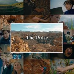 The Pulse - Yara International with Geelmuyden Kiese & Copenhagen Film Company